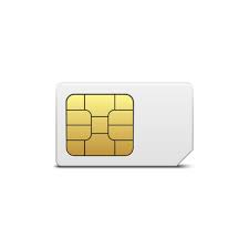 SIM Card 365/1Gb